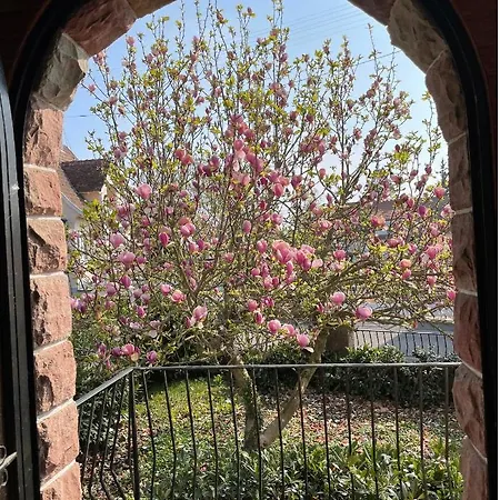 Apartamento Schmitt Sélestat